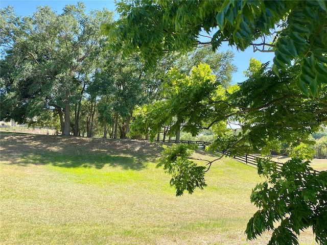 30732 Lipizzan Ter, Mount Dora, FL 32757 - view of yard