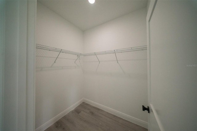 walk in closet with wood finished floors