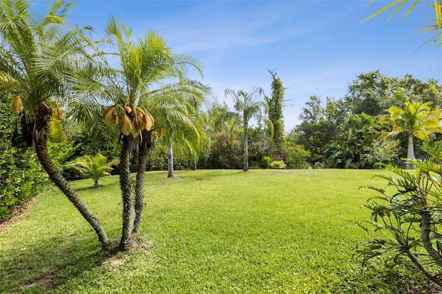 2842 Balforn Tower, Winter Garden, FL 34787 - view of yard