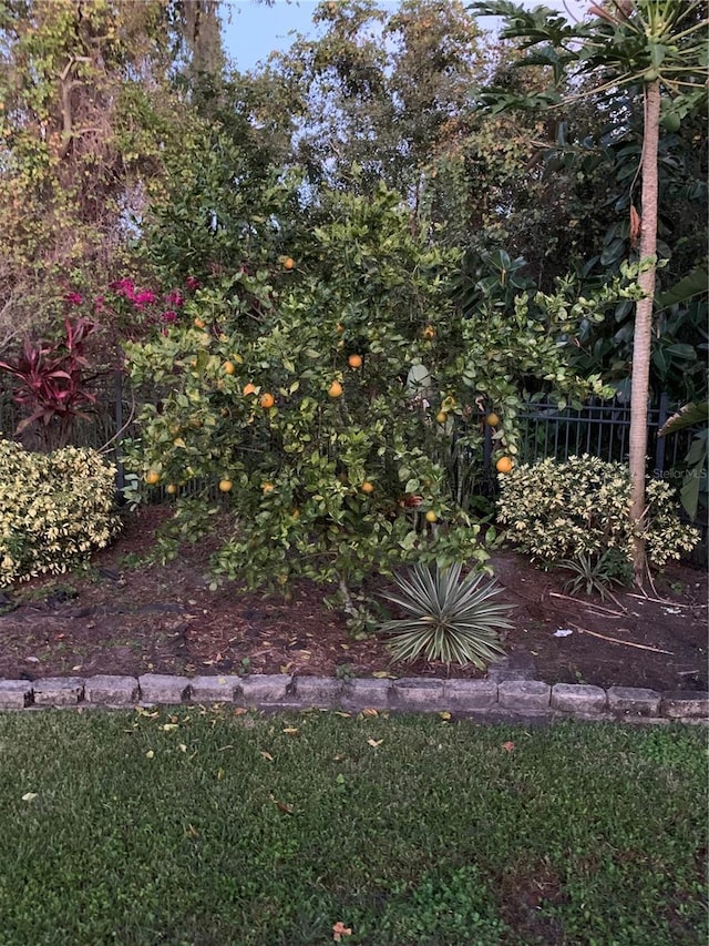 2842 Balforn Tower, Winter Garden, FL 34787 - view of yard