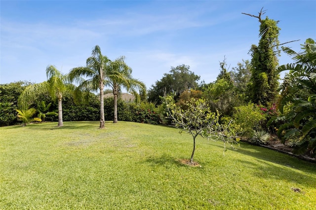 2842 Balforn Tower, Winter Garden, FL 34787 - view of yard