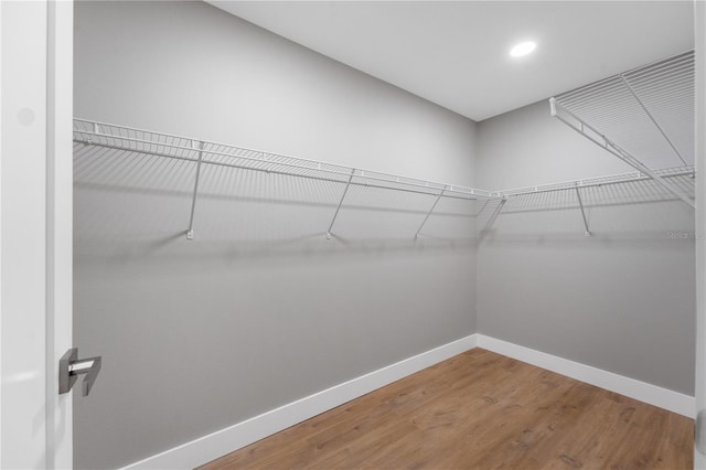 274 W Bolero Pl, Citrus Springs, FL 34434 - spacious closet featuring wood finished floors