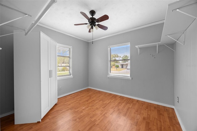 1010 Timor Ave, Orlando, FL 32804 - photo 3