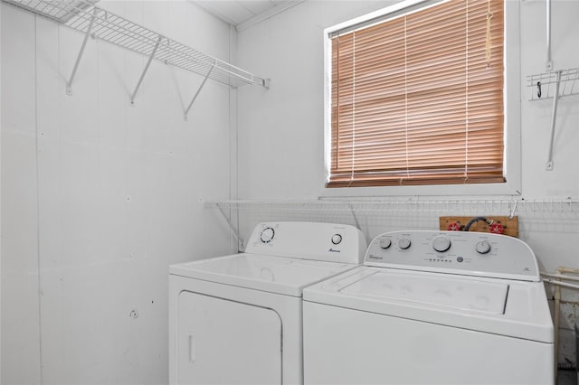 1010 Timor Ave, Orlando, FL 32804 - photo 19