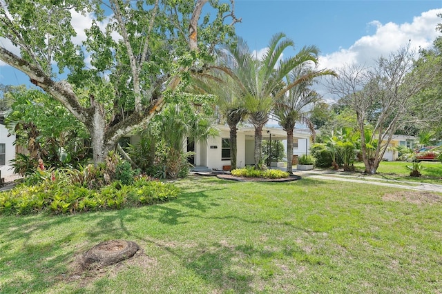 318 E Jersey St, Orlando, FL 32806 - view of green lawn