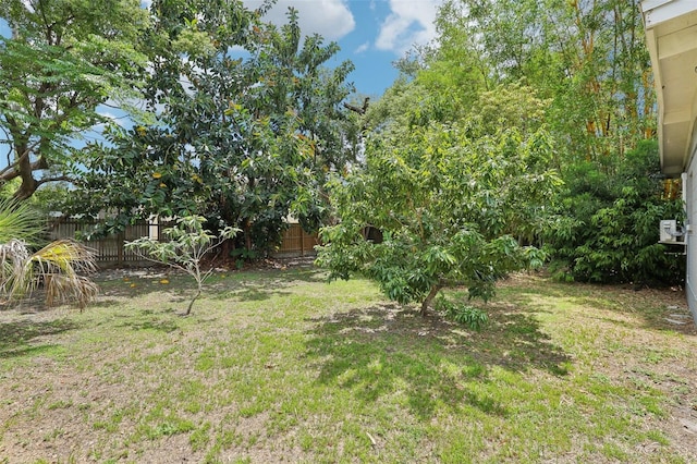 318 E Jersey St, Orlando, FL 32806 - view of yard