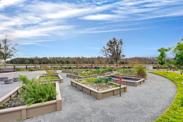 14244 Walcott Ave, Orlando, FL 32827 - surrounding community featuring a garden