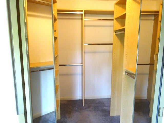 672 Post Oak Cir Unit 106, Altamonte Springs, FL 32701 - walk in closet with dark carpet