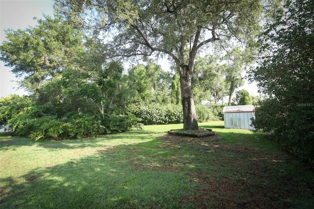 4141 Fallwood Cir, Orlando, FL 32812 - view of grassy yard featuring an outbuilding and a storage shed