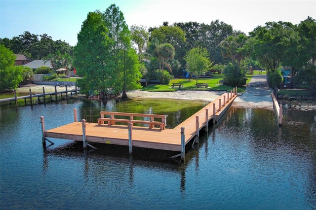 4141 Fallwood Cir, Orlando, FL 32812 - dock with a water view and view of wooded area