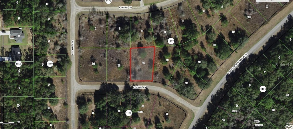 599 E Jewel Ln, Dunnellon, FL 34434