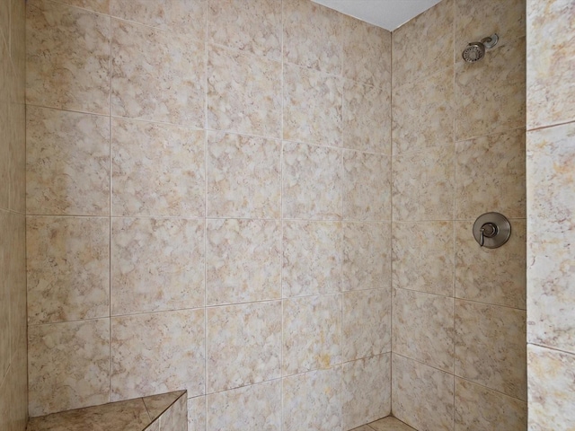 bathroom view of a tile shower