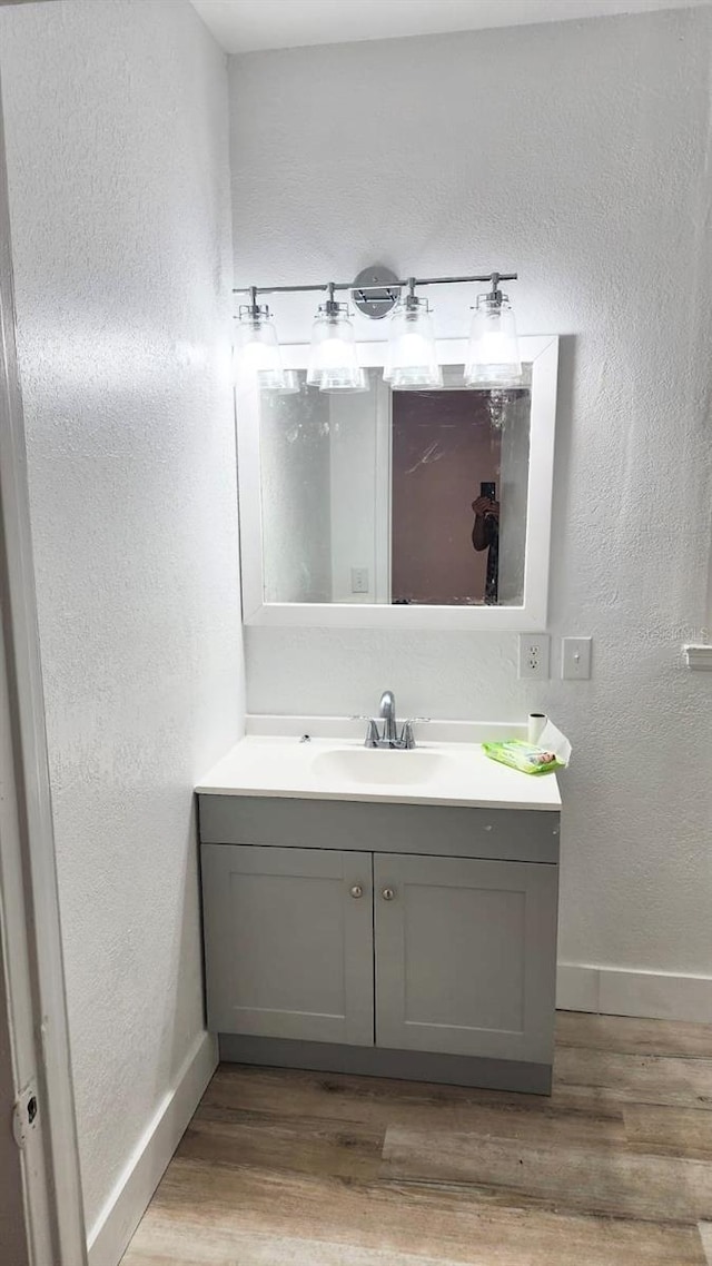 412 Bay St NW, Fort Meade, FL 33841 - bathroom featuring baseboards, wood finished floors, vanity, and a textured wall