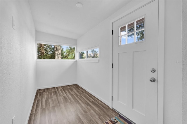 entrance foyer with wood finished floors, baseboards, and a healthy amount of sunlight