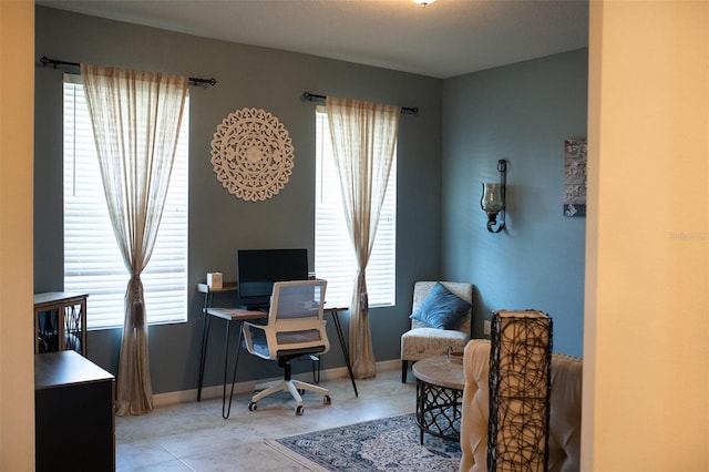 32618 Rapids Loop, Wesley Chapel, FL 33545 - home office featuring plenty of natural light and baseboards