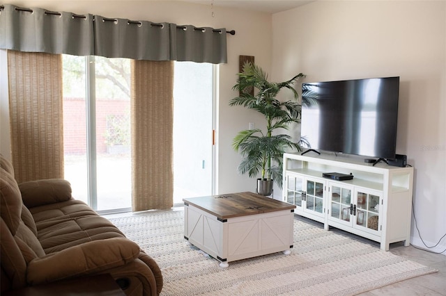 32618 Rapids Loop, Wesley Chapel, FL 33545 - view of living area
