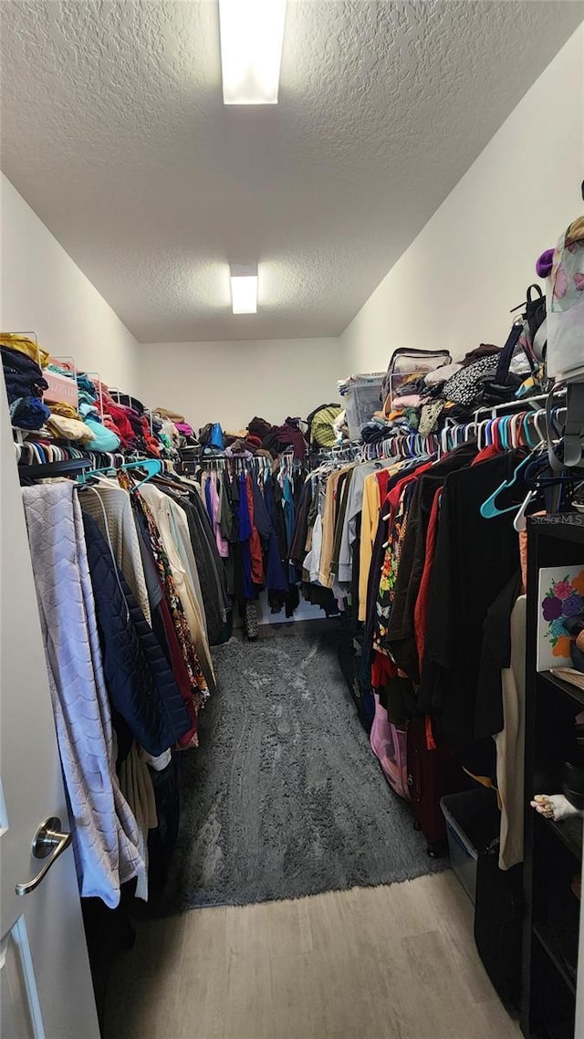 spacious closet featuring wood finished floors