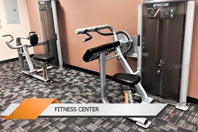 8101 Resort Village Dr Unit 31501, Orlando, FL 32821 - workout area with baseboards, carpet floors, and electric panel