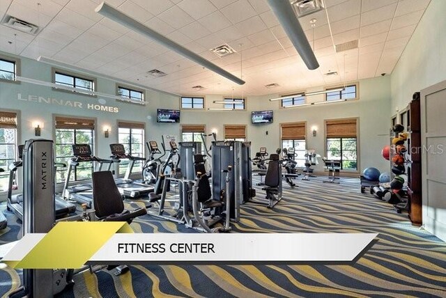 1466 Moon Valley Dr, Champions Gate, FL 33896 - exercise room with carpet floors, visible vents, and a high ceiling