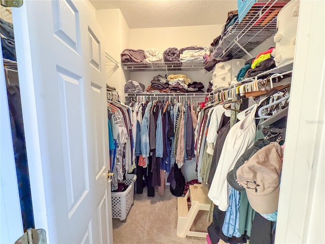 spacious closet with carpet