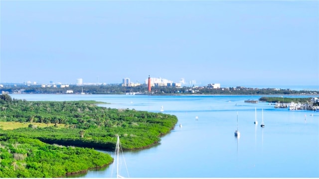 water view featuring a view of city