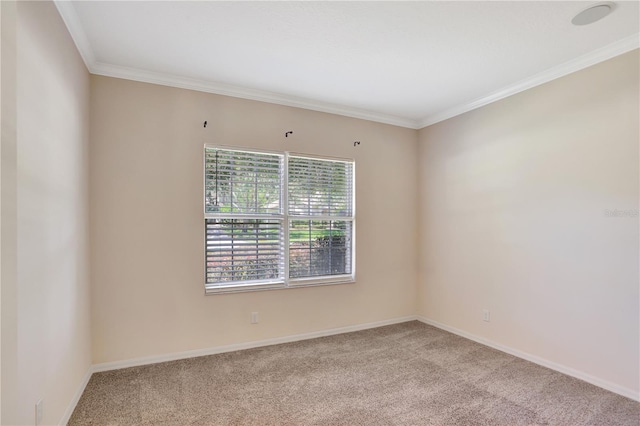626 Green Rock Ct, Apopka, FL 32712