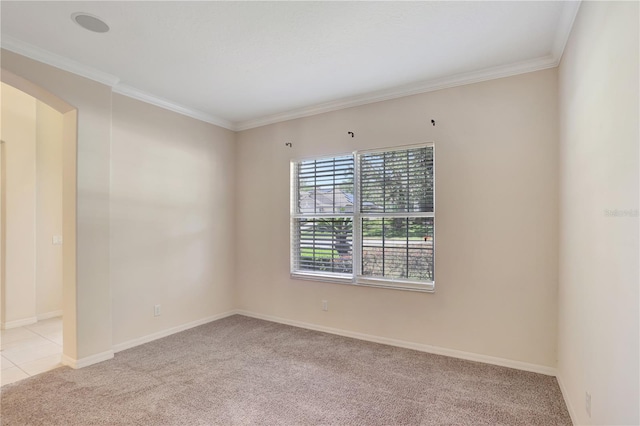 626 Green Rock Ct, Apopka, FL 32712 - spare room with light colored carpet and ornamental molding