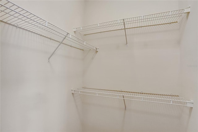 626 Green Rock Ct, Apopka, FL 32712 - view of spacious closet