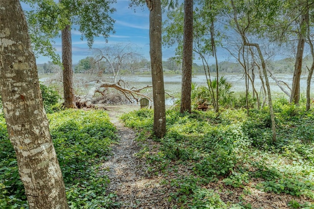 1778 Waterside Oaks Dr, Orange City, FL 32763 - photo 44