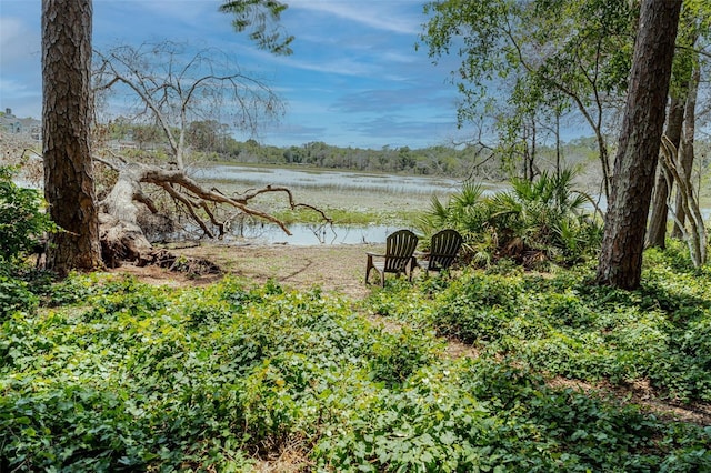 1778 Waterside Oaks Dr, Orange City, FL 32763 - photo 45