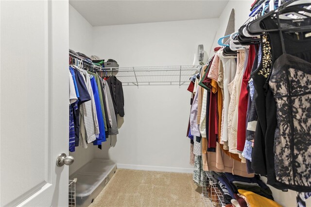 1975 Cacutta Way, Kissimmee, FL 34744 - walk in closet featuring carpet flooring