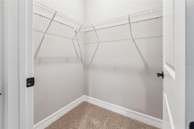 spacious closet with carpet floors