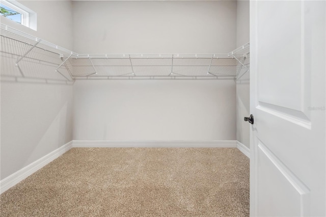 walk in closet featuring light colored carpet
