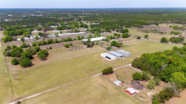 35651 Huff Rd, Eustis, FL 32736 - photo 53