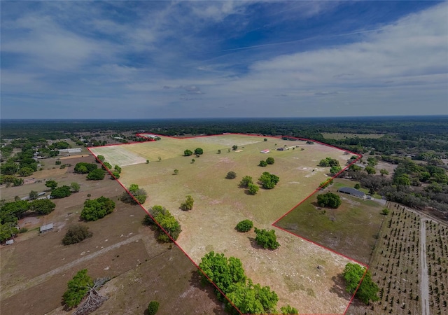 35651 Huff Rd, Eustis, FL 32736 - photo 59