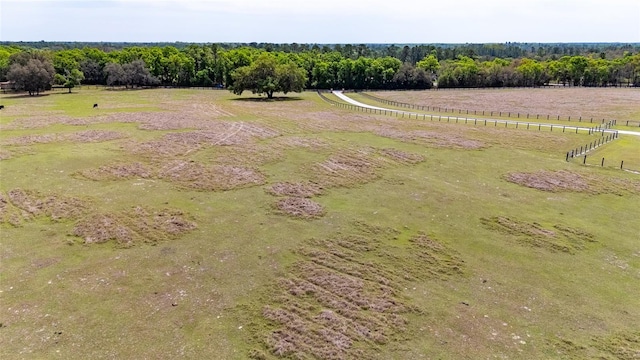 35651 Huff Rd, Eustis, FL 32736 - photo 68