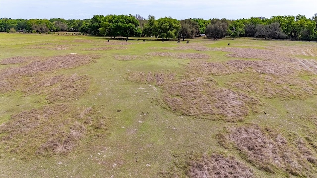 35651 Huff Rd, Eustis, FL 32736 - photo 69