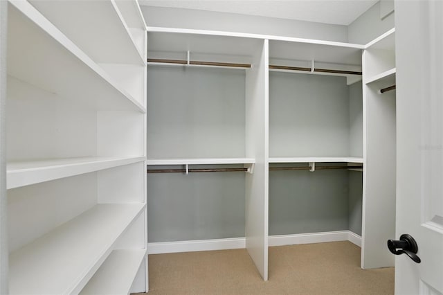 walk in closet with carpet flooring