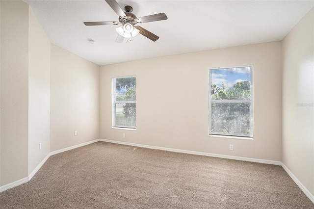 3319 Thistledown Ln, Land O Lakes, FL 34638 - empty room featuring carpet, ceiling fan, and baseboards