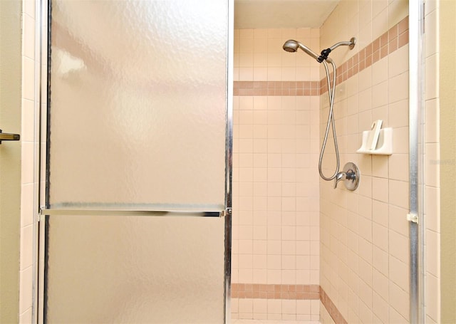 full bathroom with a shower stall