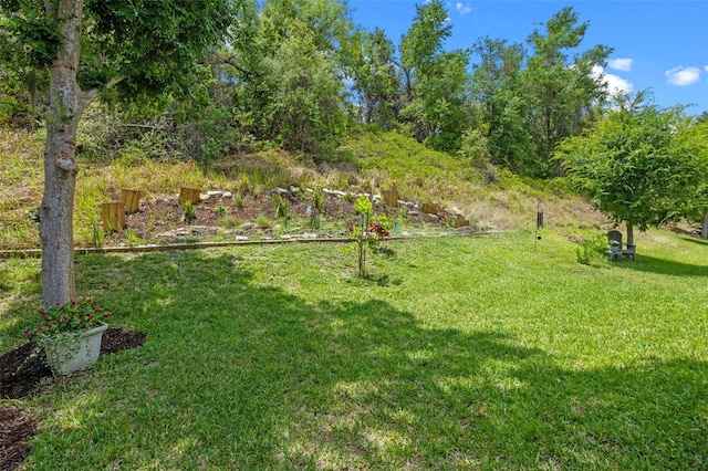view of grassy yard