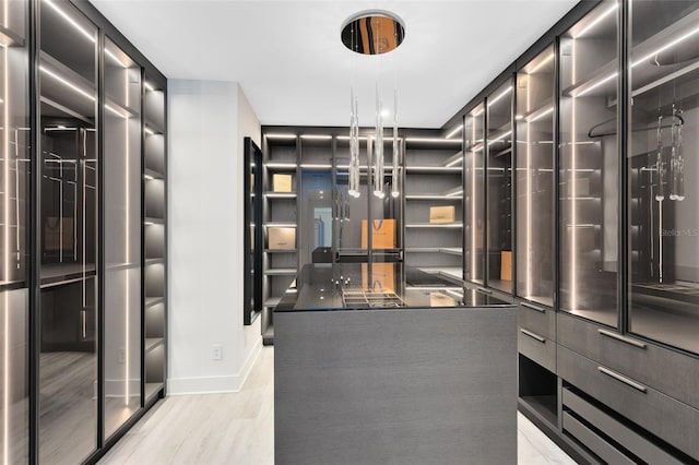 300 Muirfield Loop, Reunion, FL 34747 - view of spacious closet