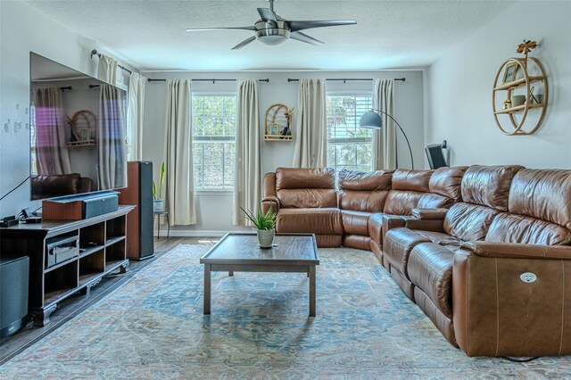459 Millwood Pl, Winter Garden, FL 34787 - living area featuring a textured ceiling, a ceiling fan, a healthy amount of sunlight, and wood finished floors
