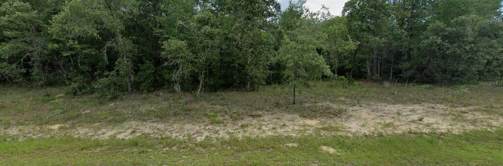 10574 N Adler Dr, Citrus Springs, FL 34434 - photo 2