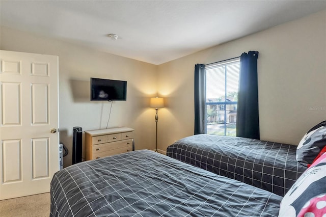 bedroom with carpet flooring
