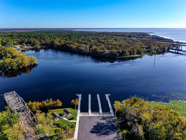 305 Platform Ln, Debary, FL 32713 - drone / aerial view featuring a water view and a forest view