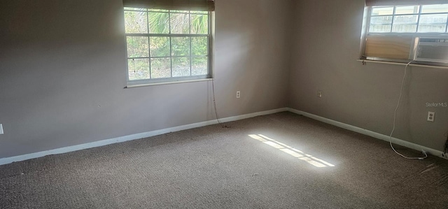 spare room featuring a wealth of natural light, baseboards, and carpet floors