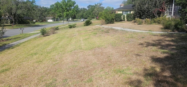 view of yard