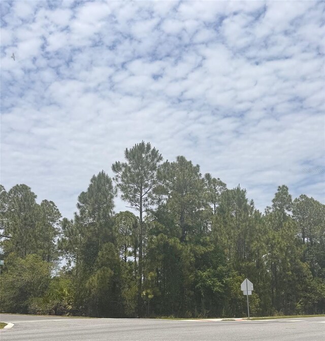 00 Ortega St, Orlando, FL 32833 - photo 10