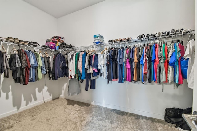 31840 Magna Gulf Loop, San Antonio, FL 33576 - walk in closet featuring carpet floors
